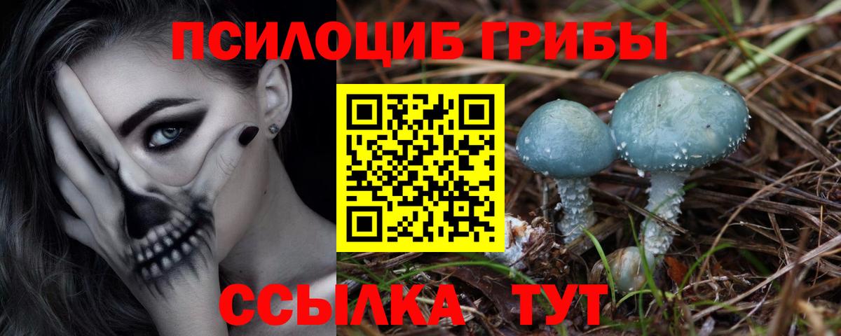 Галлюциногенные грибы мицелий  сколько стоит  Нальчик  Вход с VPN 