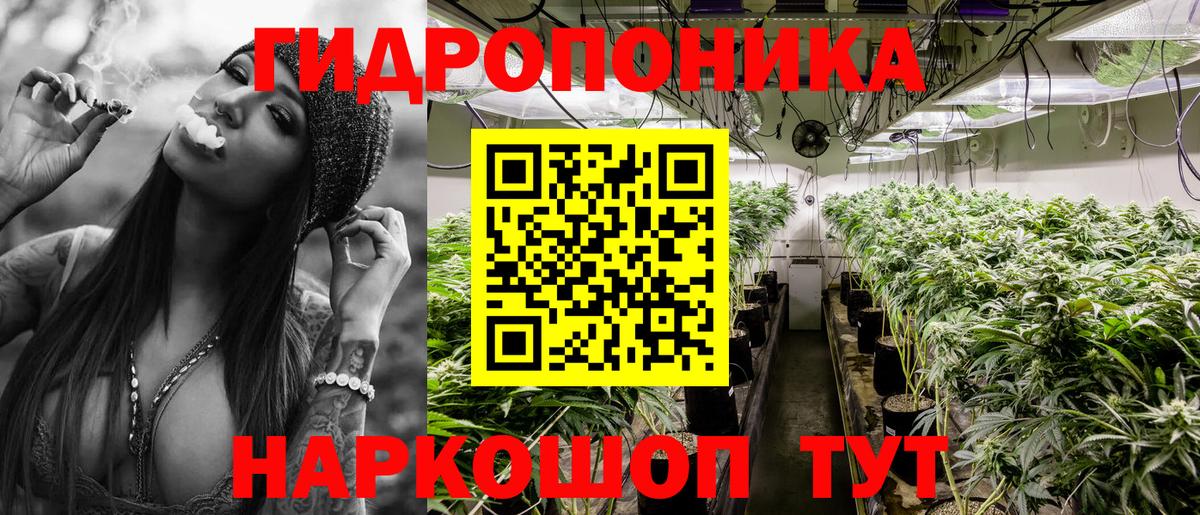 Конопля сатива Нальчик